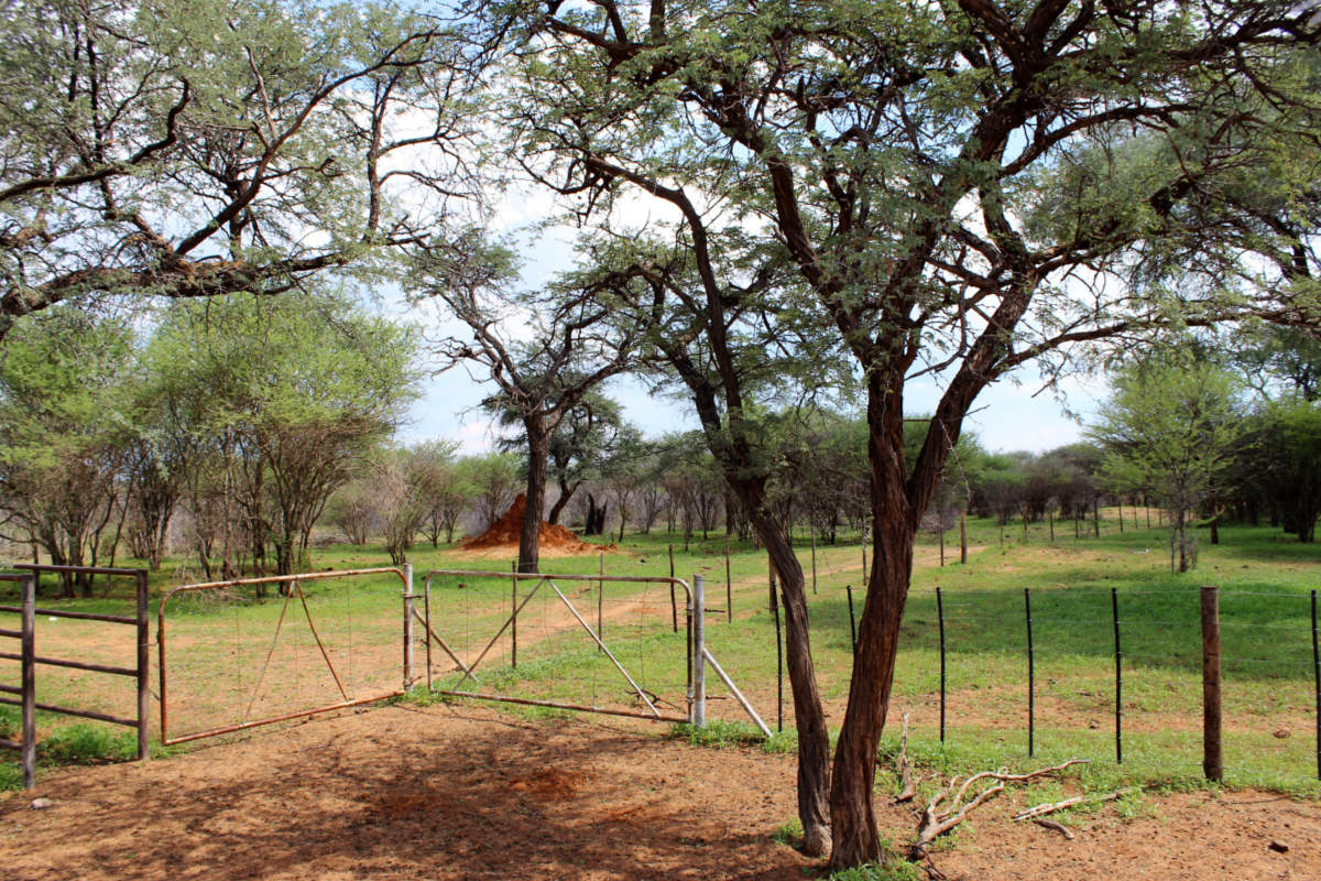 Farm - Kraal