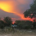 Nyae Nyae Baobab Campsite